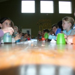 IMG 1129  Medium - Scouts en Gidsen Zaventem 